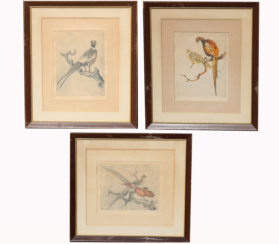 (3) Benson Bond Moore (DC, Florida, 1882-1974): (3) Benson Bond Moore (DC, Florida, 1882-1974) Colored etchings of birds. Each pencil signed in lower margin. Largest Image Size: 9 x 7 in. Framed Size: 18 x 16 in. All framed behind glass.