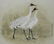 Zhan Gengxi (B. 1941) "Whooping Cranes"