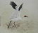 Zhan Gengxi (B. 1941) "Whooping Crane Flapping" - 2
