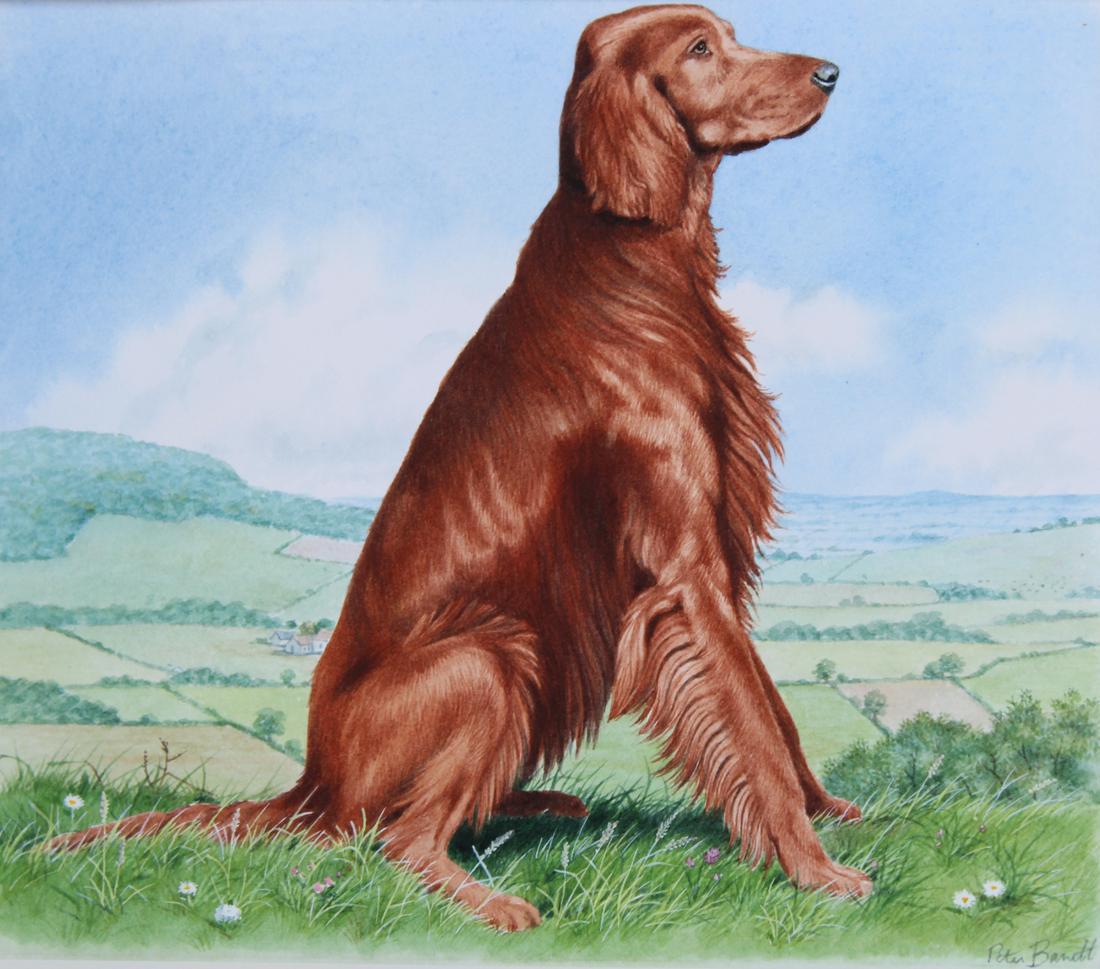 Peter Barrett (B. 1935) "Irish Setter" (1 of 4)