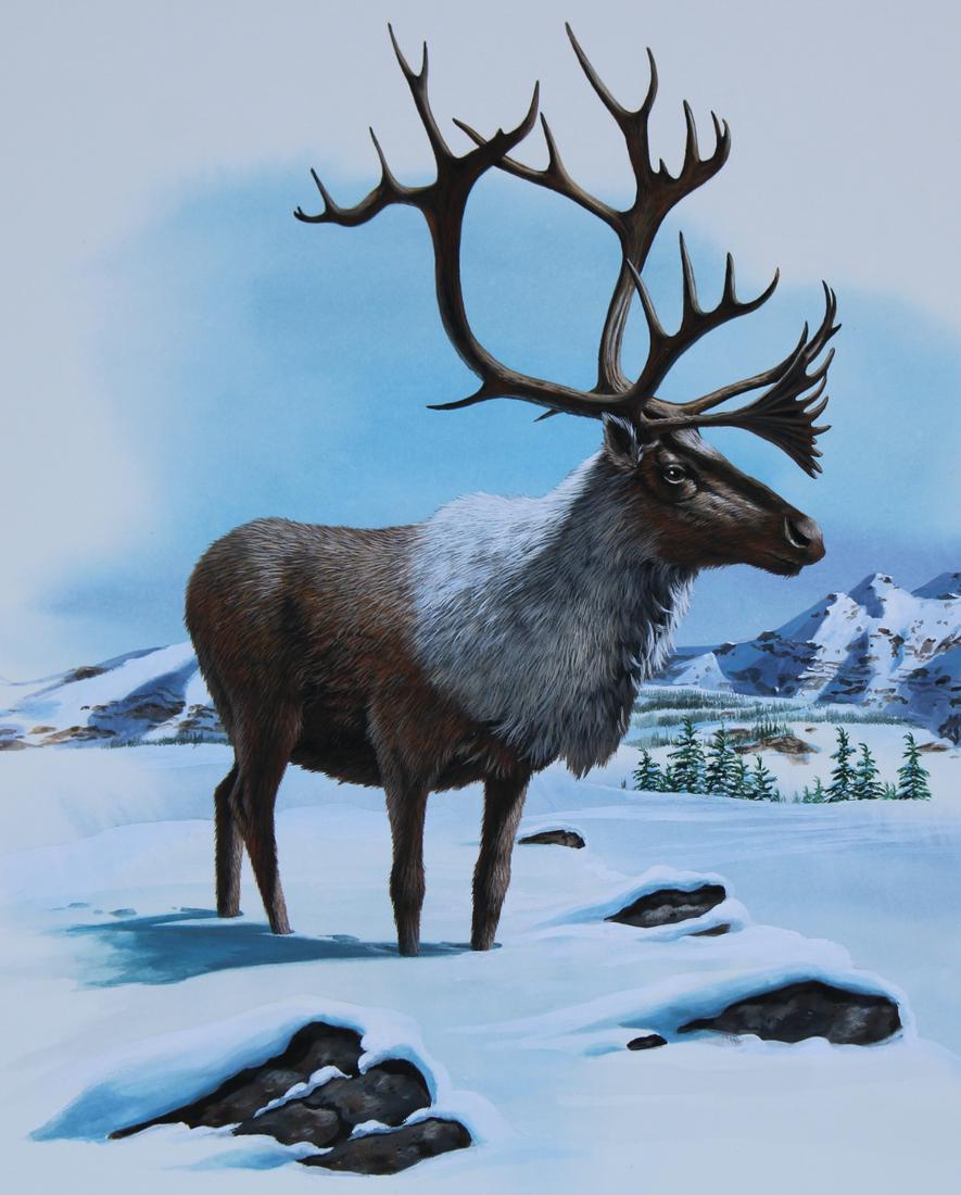 Don Balke (B. 1933) "Mountain Caribou": Don Balke (B. 1933) "Mountain Caribou and Western Hemlock" Signed lower right. Original Watercolor painting. Provenance: Collection of James A. Helzer (1946-2008), Founder of Unicover Corporation. Thi