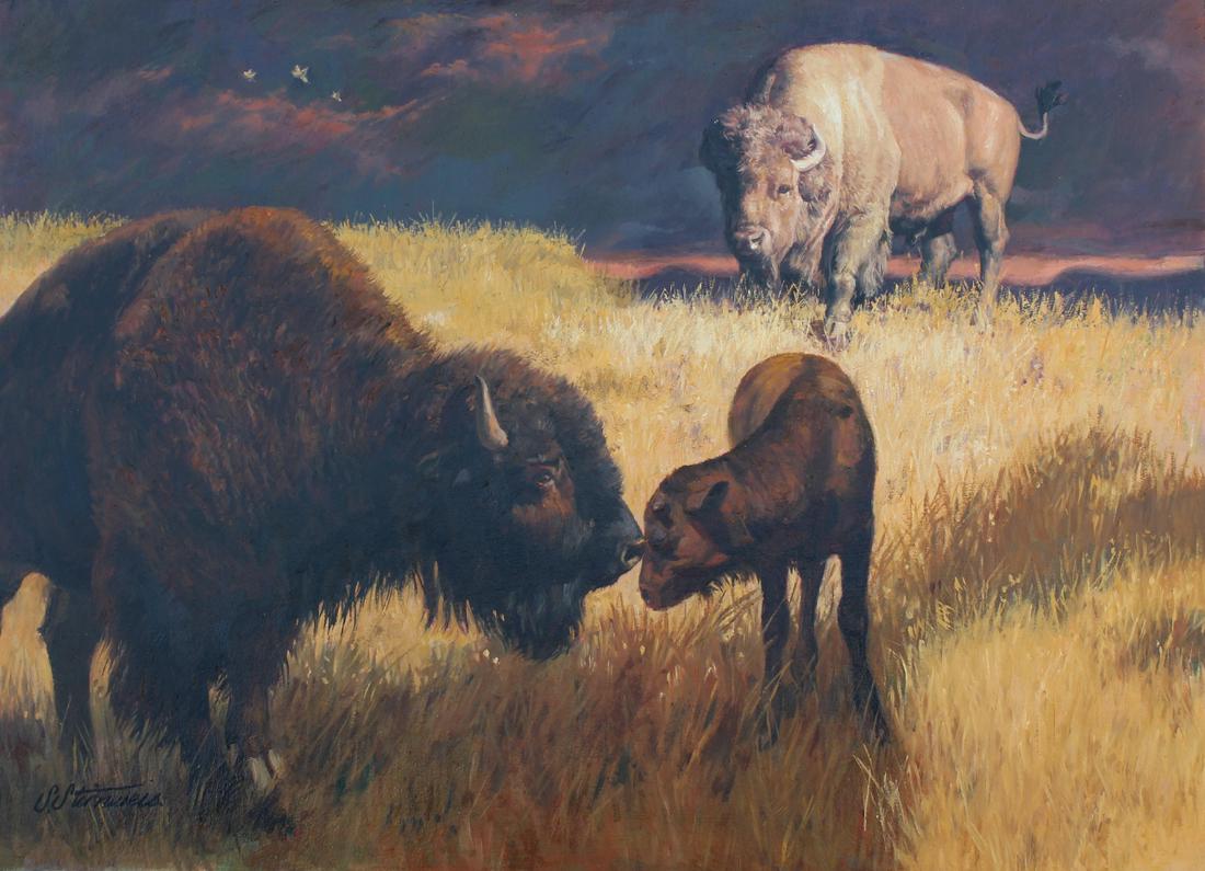Shannon Stirnweis (B. 1931) "Bison" (1 of 4)