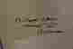 item-84334226=2
