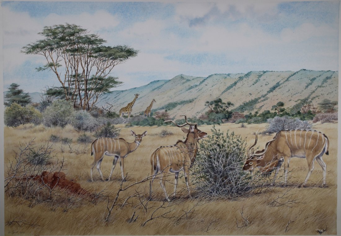 Peter Barrett (British, B. 1935) "Kenya": Peter Barrett (British, B. 1935). "Kenya, Greater Kidu Masais Maka" Signed and dated lower left. Watercolor on Paper. Sheet Size: 18.25 x 24.5 in. Unframed.