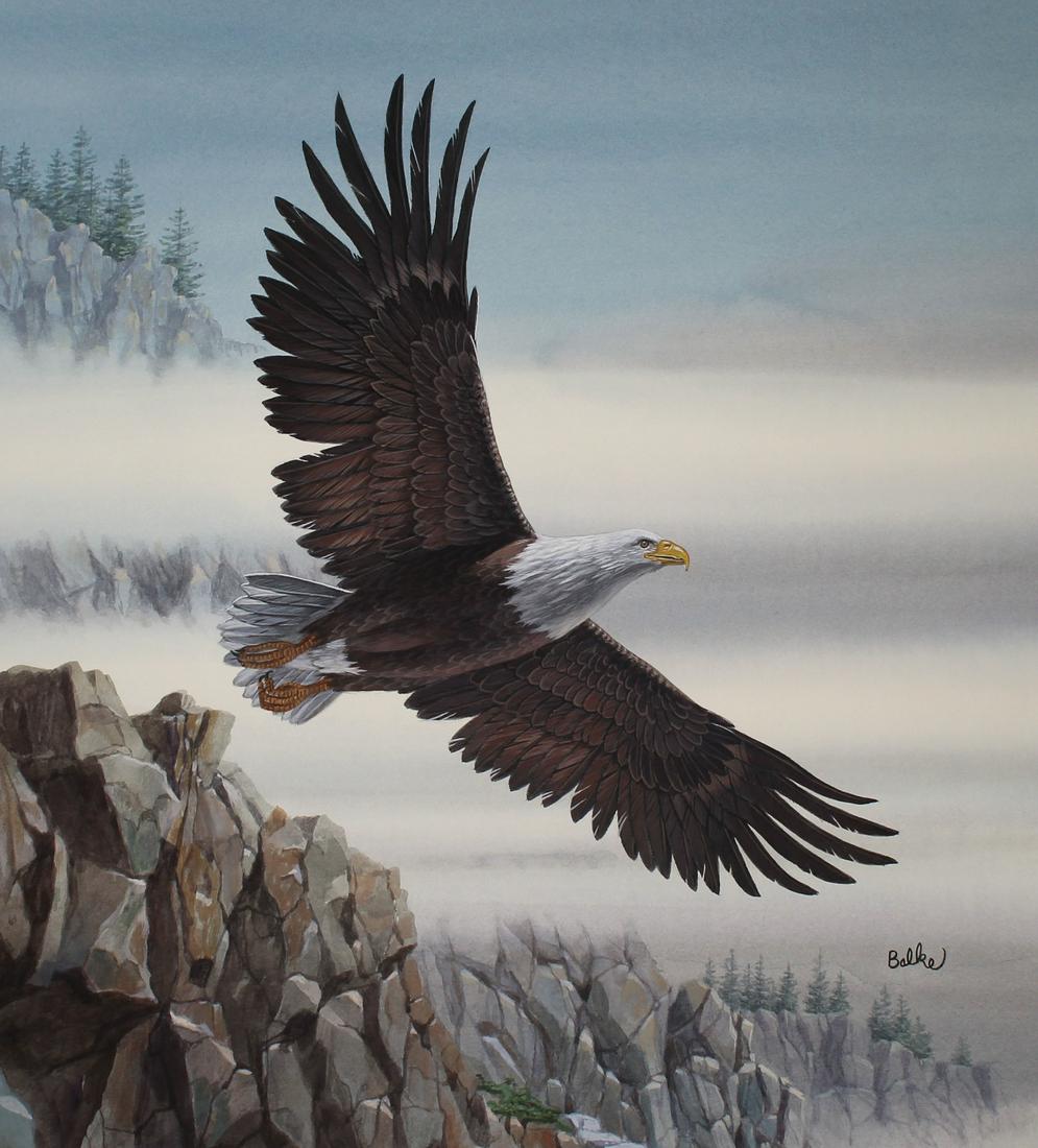 Don Balke (B. 1933) Bald Eagle in Flight (1 of 4)