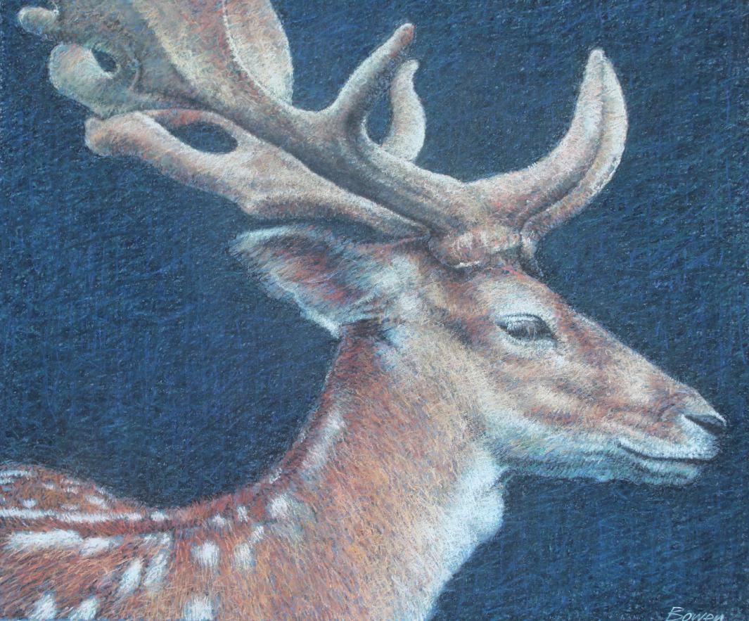 Keith Bowen (B. 1950) "Fallow Deer": Keith Bowen (UK, B. 1950) "Fallow Deer" Signed lower right. Original First Day Cover Illustration. Chalk on Paper. Provenance: Collection of James A. Helzer (1946-2008), Founder of Unicover Corporatio