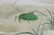 Yan Bingwu & Yang Wenqing "True Katydid" - 2