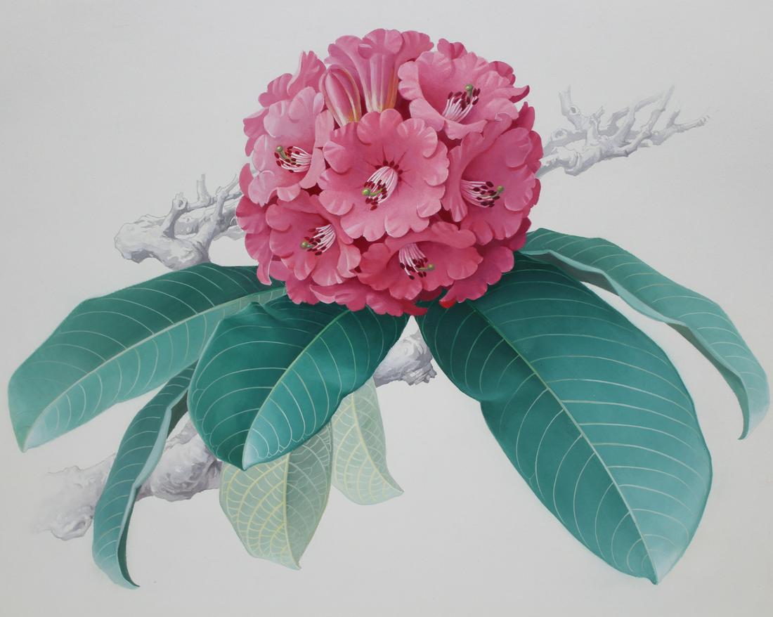 Zeng Xiaolian (B. 1939) "Rhododendron Giganteum": Zeng Xiaolian (B. 1939) "Rhododendron Giganteum" Original First Day Cover watercolor. Provenance: Collection of James A. Helzer (1946-2008), Founder of Unicover Corporation. This watercolor was publis