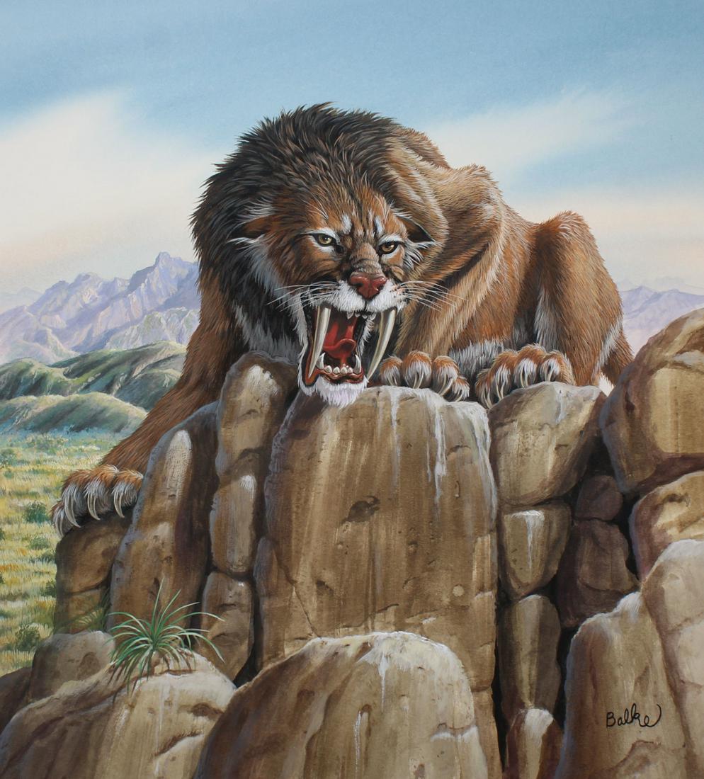 Don Balke (NC, B. 1933) "Saber-tooth Cat": Don Balke (North Carolina, B. 1933) "Saber-tooth Cat Perched on Rock" Signed lower right. Original Watercolor on Illustration Board. Provenance: Collection of James A. Helzer (1946-2008), Founder of U