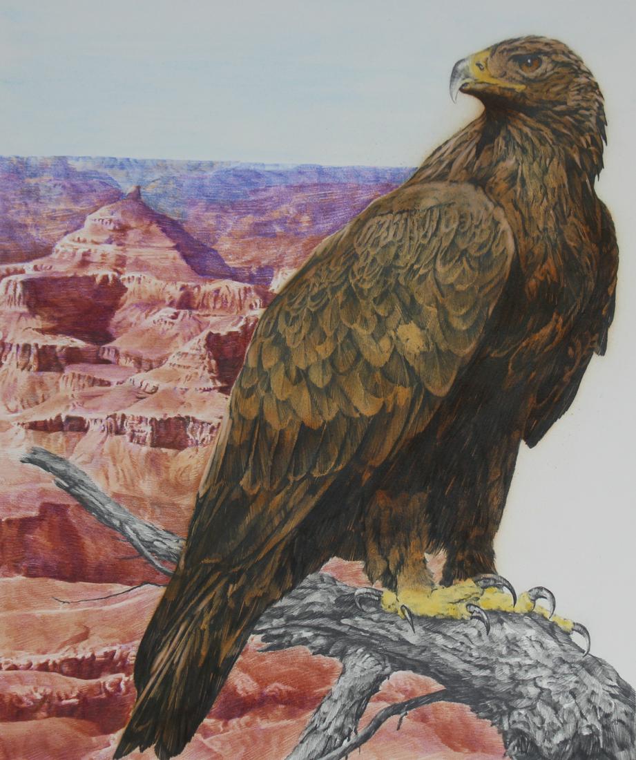 Chris Calle (B. 1961) "Grand Canyon Panorama": Chris Calle (American, B. 1961) "Grand Canyon Panorama" Signed lower right. Mixed Media on Illustration Board. Provenance: Collection of James A. Helzer (1946-2008), Founder of Unicover Corporation. T