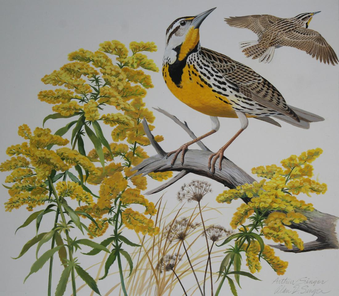 Arthur Singer (1917 - 1990) Meadowlark & Goldenrod (1 of 6)