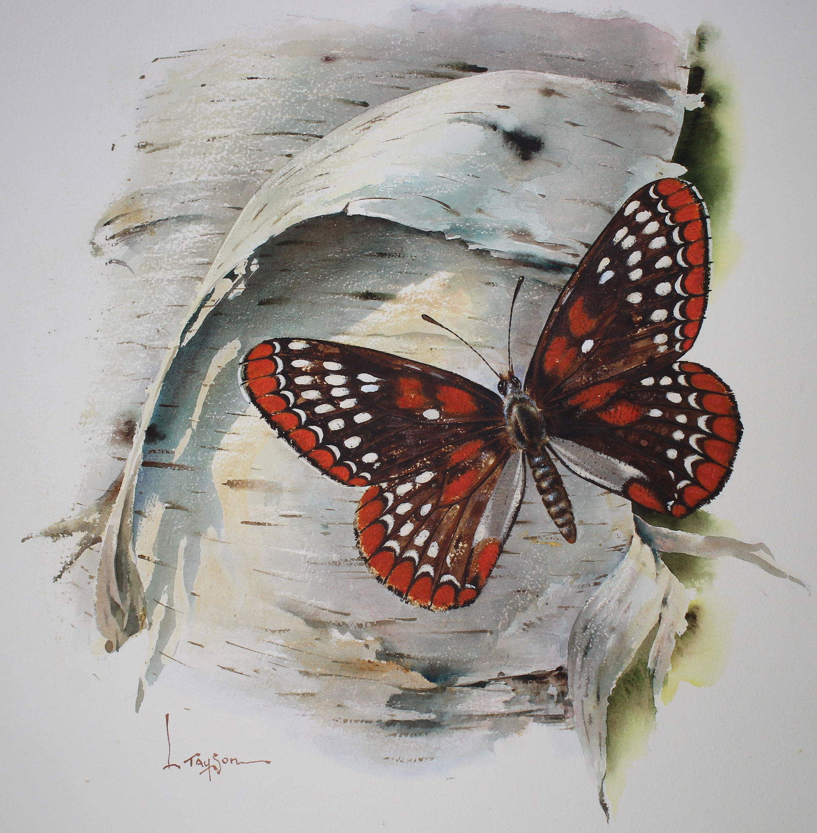 Lyle Tayson (1924 - 2014) Checkerspot Butterfly (1 of 3)