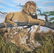 R.G. Finney (B. 1941) "Lion Family At Rest"