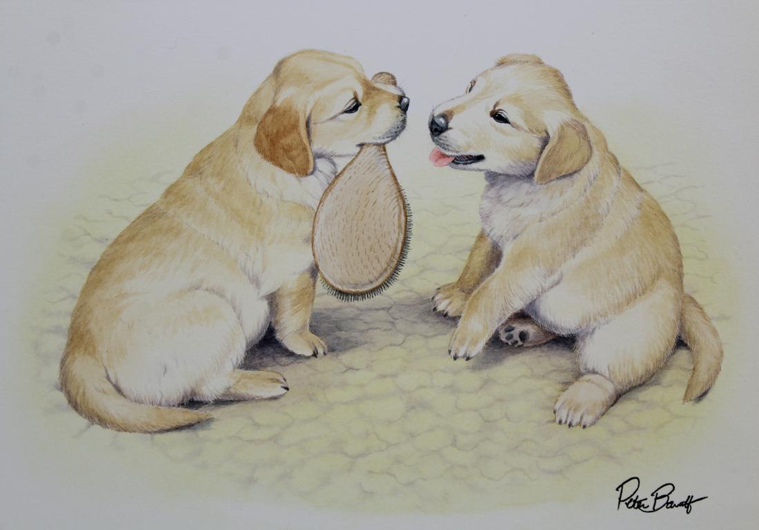 Peter Barrett (British, B. 1935) Watercolor: Peter Barrett (British, B. 1935) "Life of a Puppy" Watercolor on Paper. Signed lower right. Sheet Size: 9.75 x 11.75 in. Unframed.