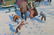 Mel Crawford (B. 1925) A Pause in the Sleigh Ride - 2