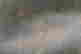item-90273195=13