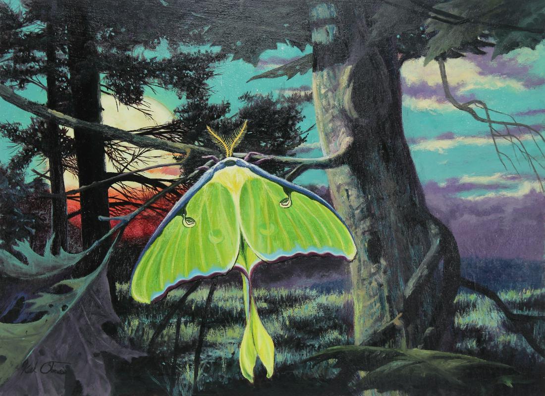 Kirk Stirnweis (B. 1967) "Luna Moth" (1 of 4)