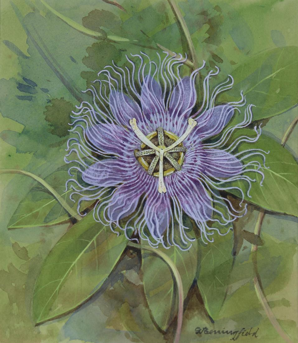 Gordon Beningfield (1936 - 1998) Passionflower (1 of 3)