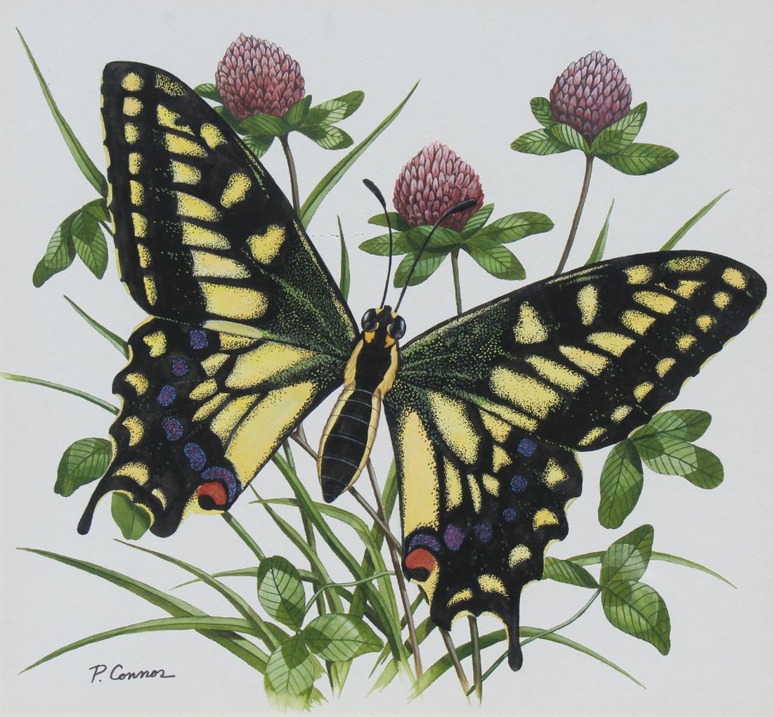 Paul Connor (20th C) "Swallowtail Butterfly" (1 of 6)