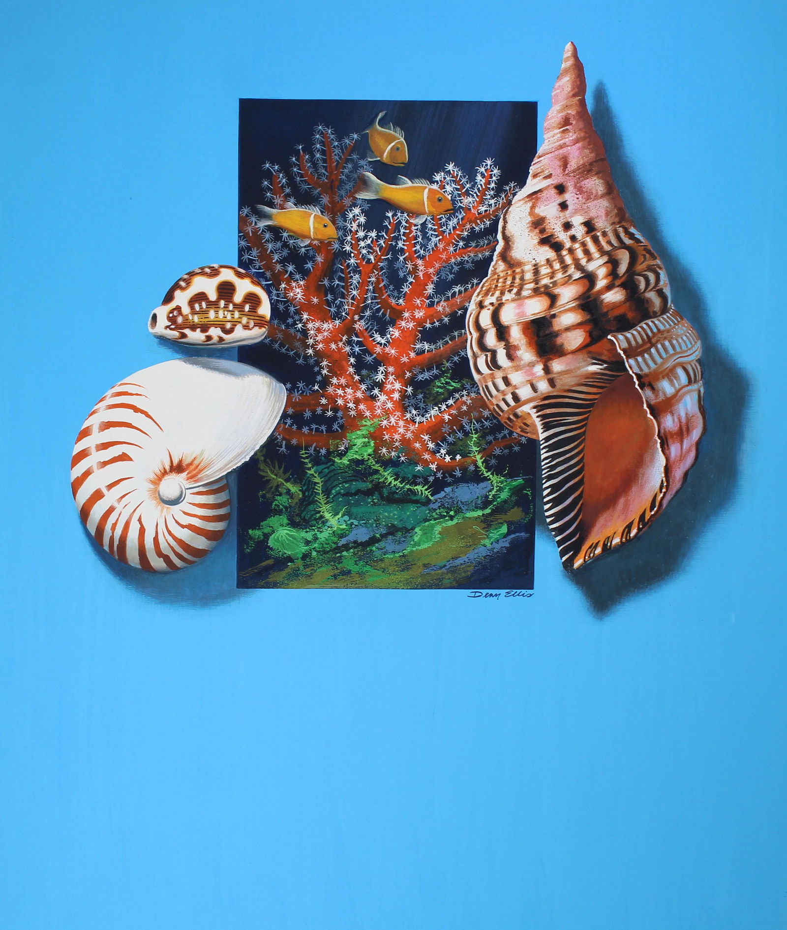 Dean Ellis (1920 - 2009) Marine Life of Palau (1 of 4)