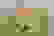 item-90437049=2