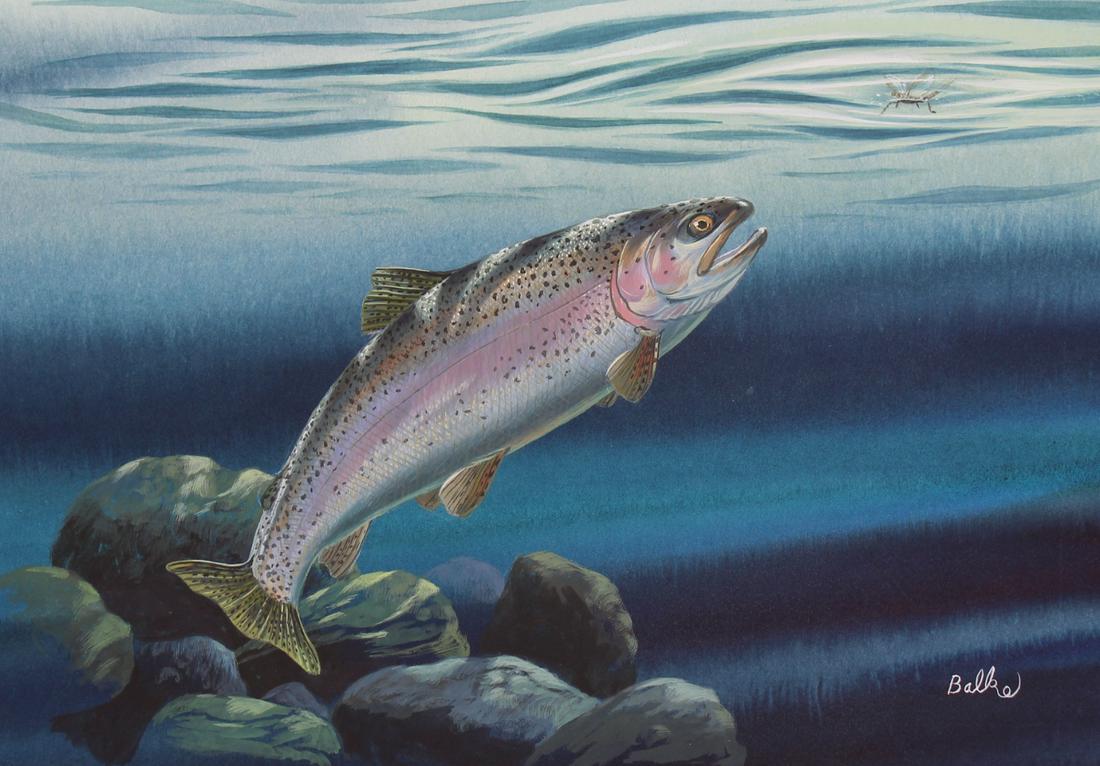 Don Balke (B. 1933) "Rainbow Trout" (1 of 4)