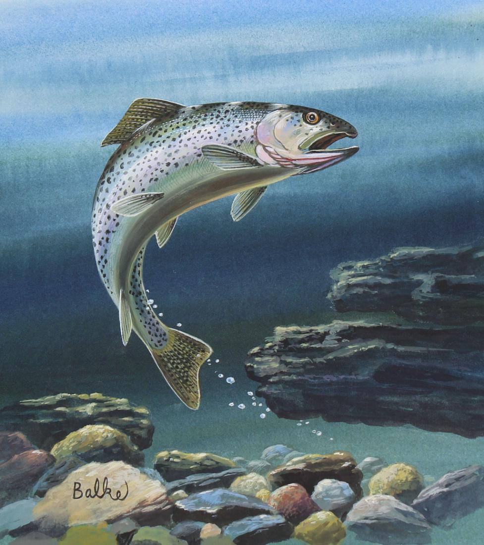 Don Balke (B. 1933) "Cutthroat Trout" (1 of 4)