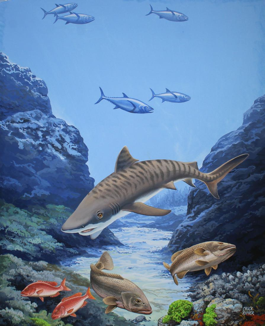 Chuck Ripper (B. 1929) "Shark" (1 of 4)