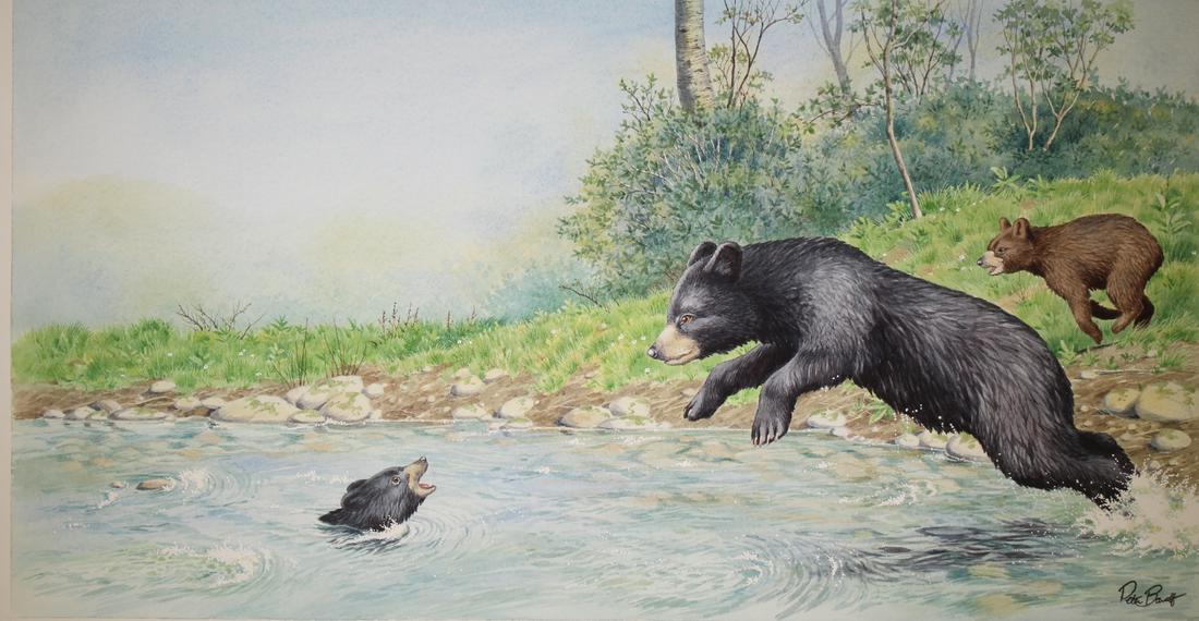 Peter Barrett (British, B. 1935) "Baby Bear": Peter Barrett (British, B. 1935) "Life of a Baby Bear" Signed lower right. Watercolor on Paper. Sheet Size: 12.5 x 21.5 in. Unframed.