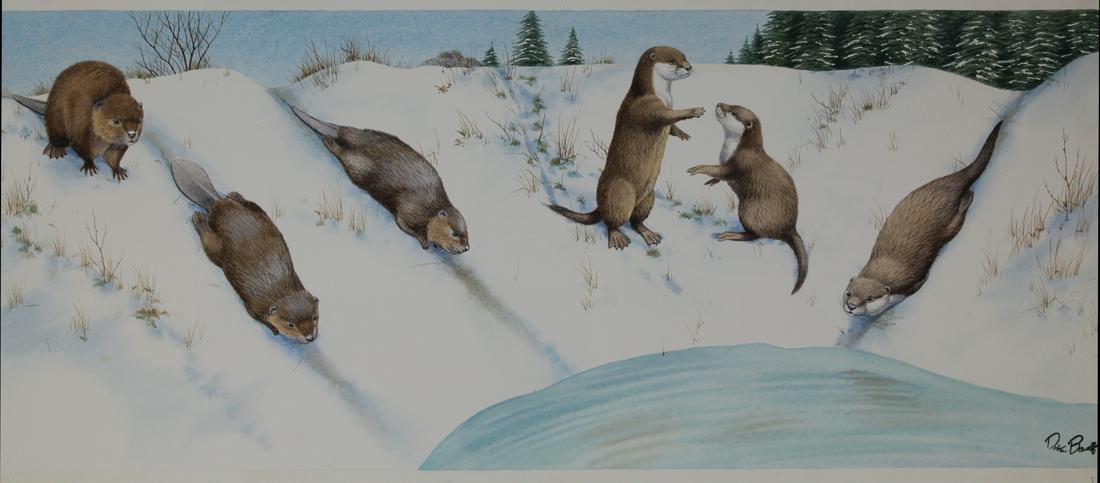 Peter Barrett (B. 1935) "Baby Otters" (1 of 6)