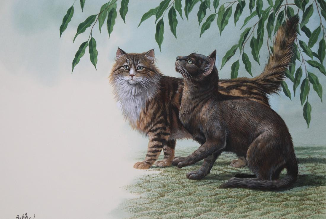 Don Balke (B. 1933) Maine Coon and Burmese Cats: Don Balke (North Carolina, B. 1933) "Maine Coon and Burmese Cats" Signed lower left. Original Watercolor painting on Illustration Board. Provenance: Collection of James A. Helzer (1946-2008), Founder