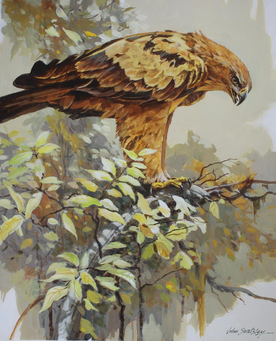 John Swatsley (B. 1937) "Tawny Eagle" (1 of 4)