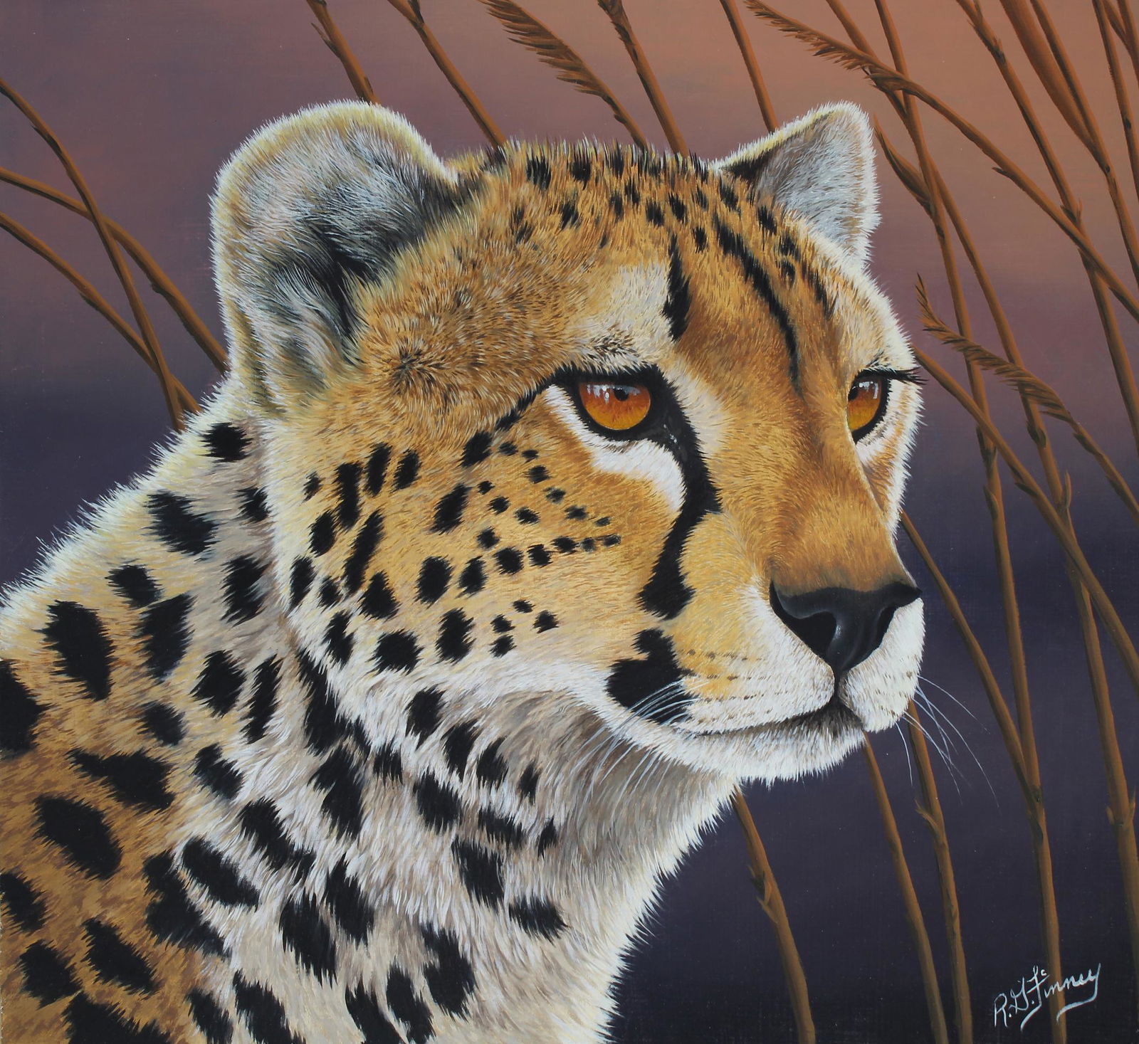 R.G. Finney (B. 1941) "Cheetah" (1 of 2)