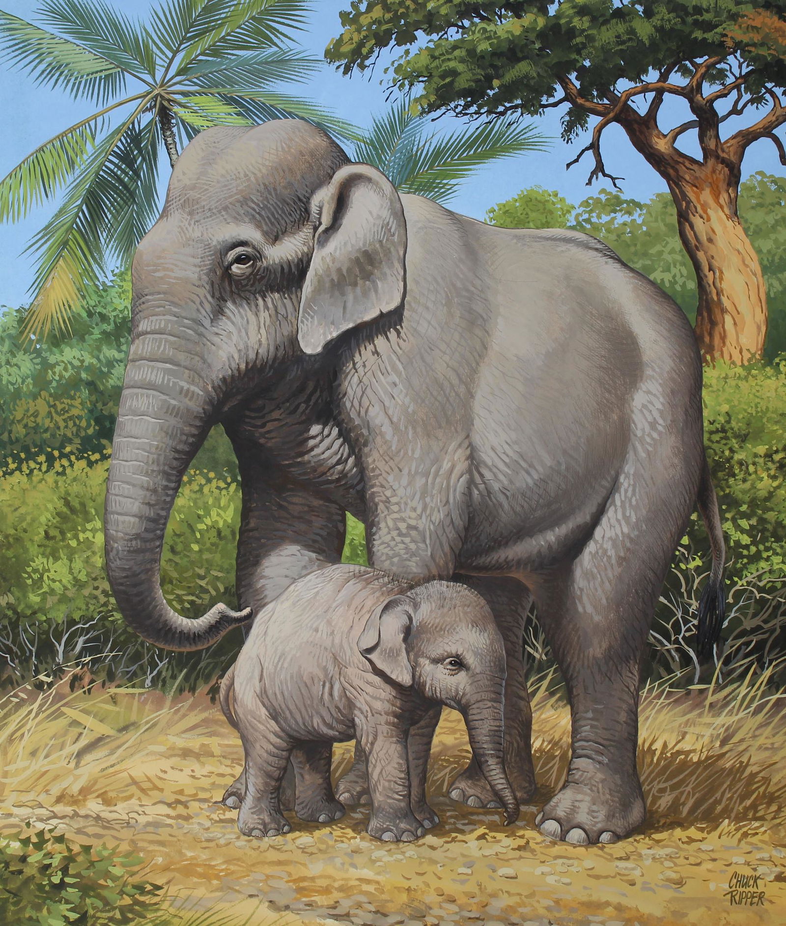 Chuck Ripper (B. 1929) "Asian Elephants": Chuck Ripper (American, B. 1929) "Mother and Baby Asian Elephants" Signed lower right. Original Gouache/Watercolor painting on Masonite. Provenance: Collection of James A. Helzer (1946-2008), Founder