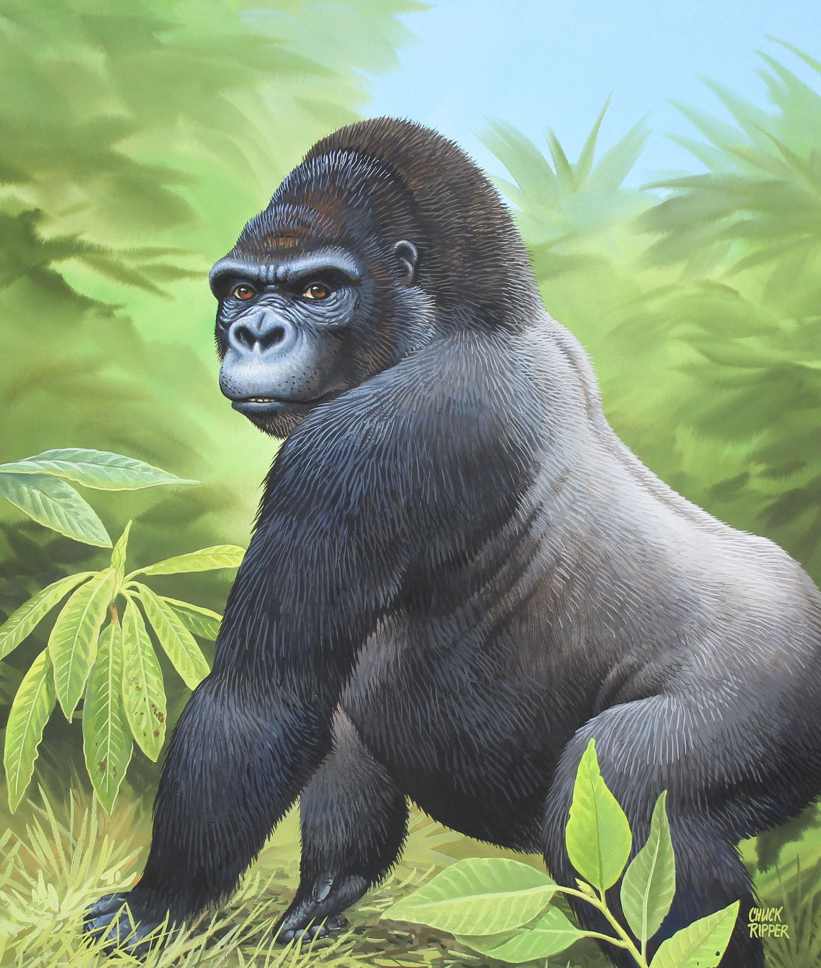 Chuck Ripper (B. 1929) Gorilla Sitting in Grass (1 of 4)