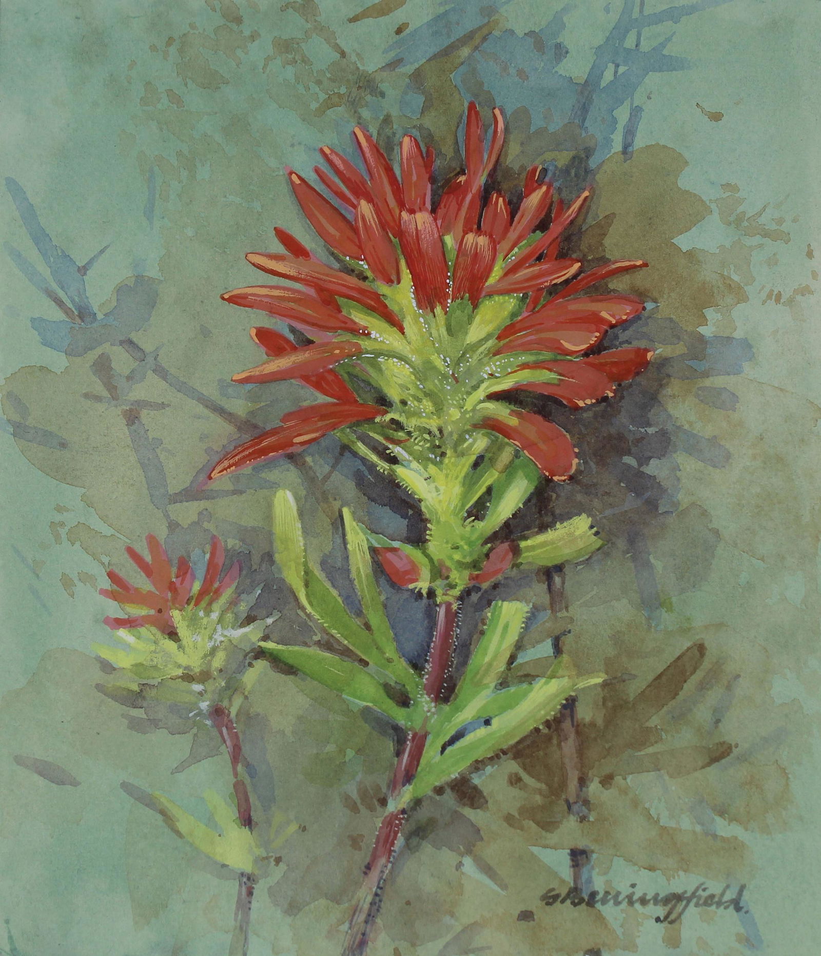 Gordon Beningfield (1936 - 1998) Indian Paintbrush (1 of 4)