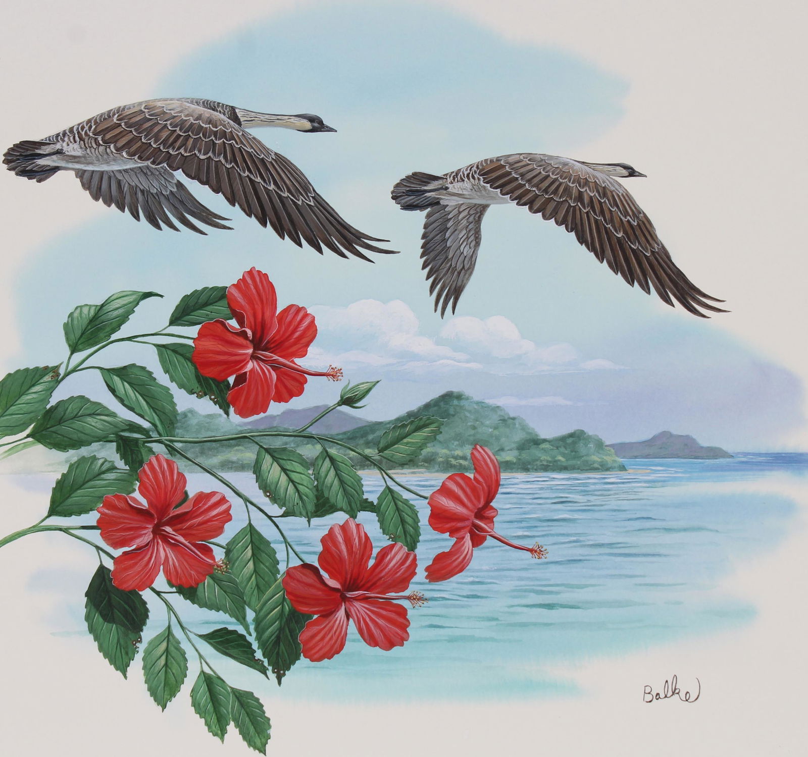 Don Balke (B. 1933) "Hawaiian Goose / Hibiscus" (1 of 7)