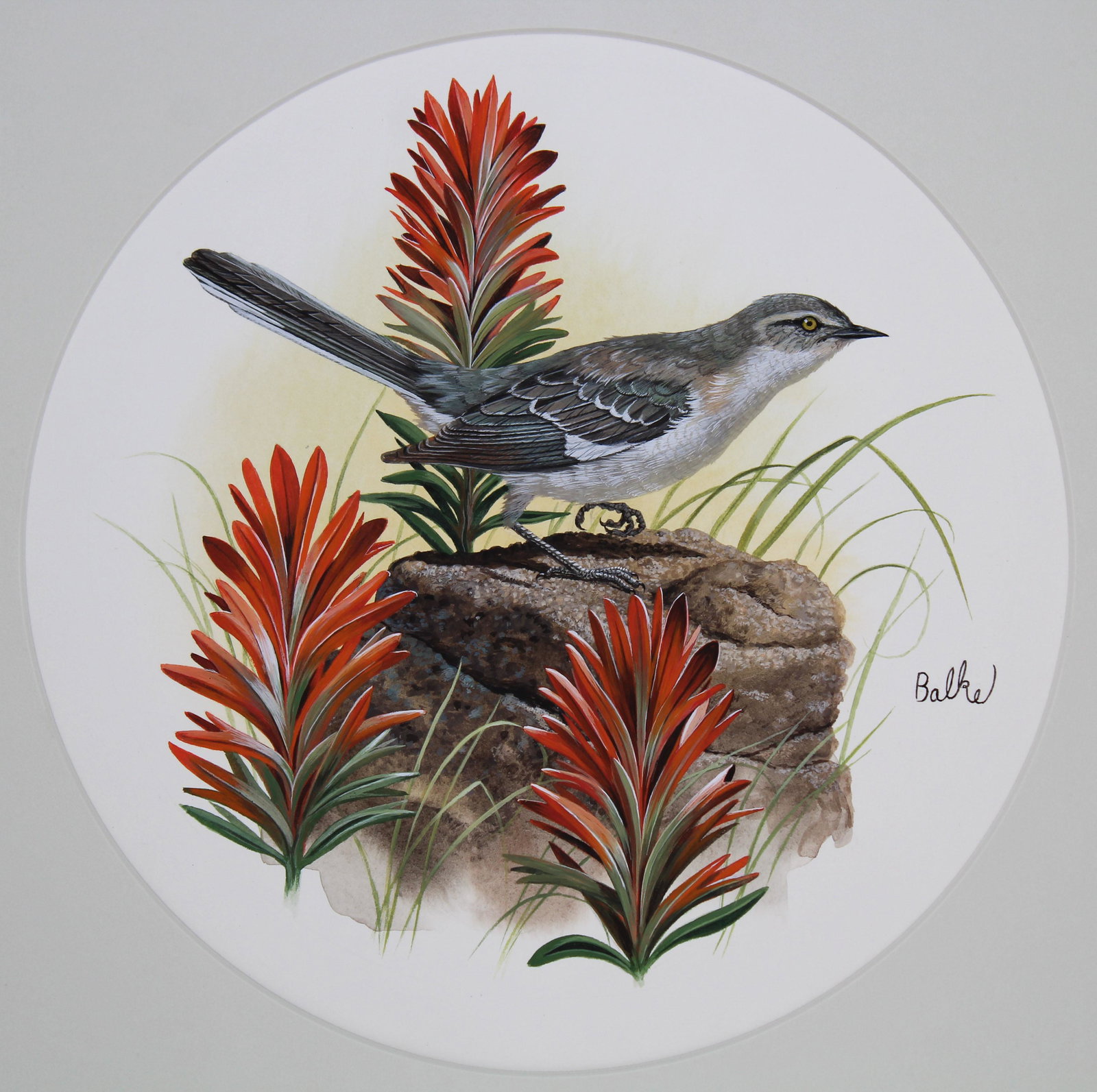 Don Balke (B. 1933) "Mockingbird": Don Balke (North Carolina, B. 1933) "Mockingbird" Signed middle right. Original Watercolor painting on Illustration Board. Provenance: Collection of James A. Helzer (1946-2008), Founder of Unicover Co