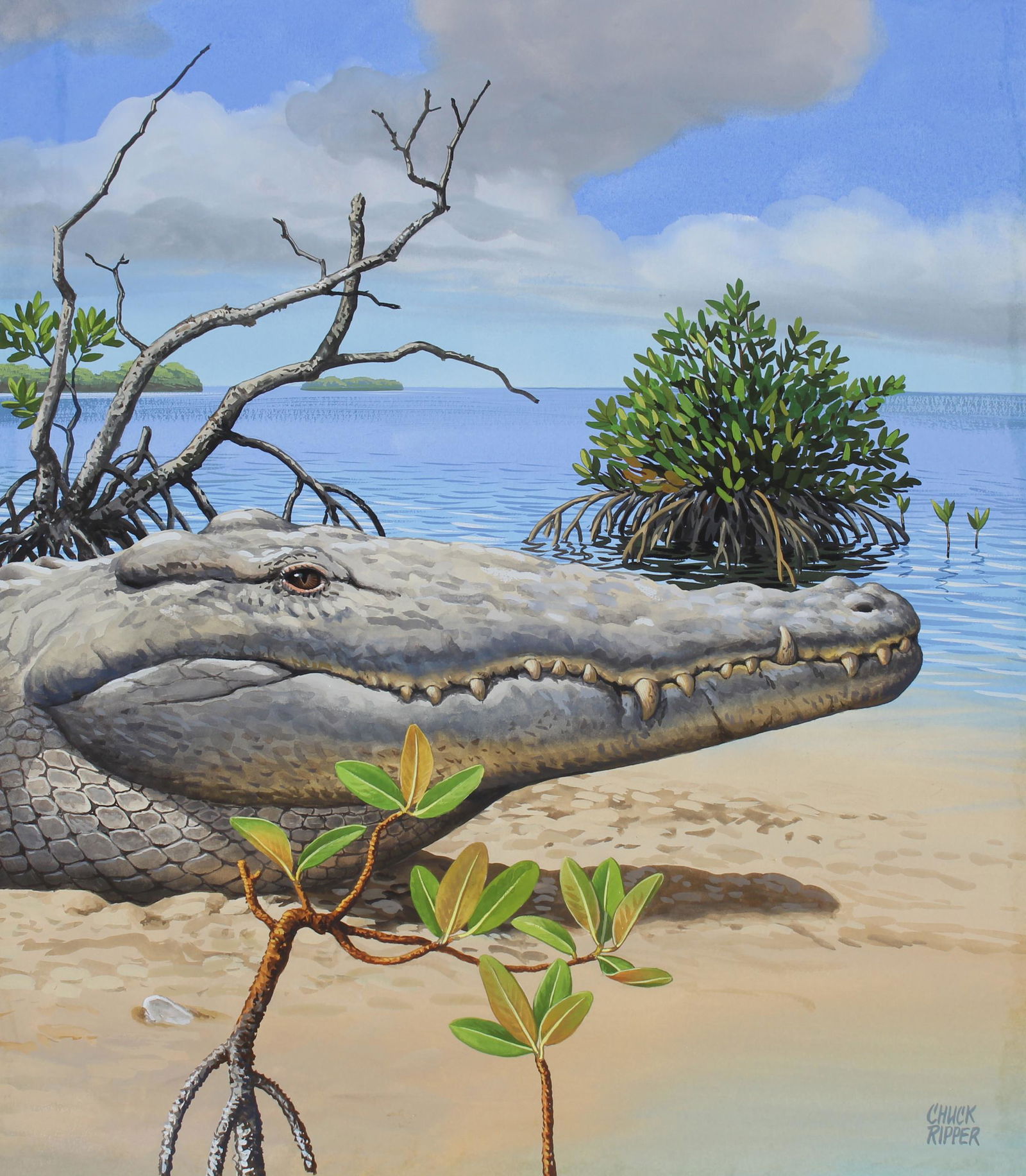 Chuck Ripper (B. 1929) "American Crocodile": Chuck Ripper (American, B. 1929) "American Crocodile" Signed lower right. Original Gouache/Watercolor painting on Masonite. Provenance: Collection of James A. Helzer (1946-2008), Founder of Unicover C