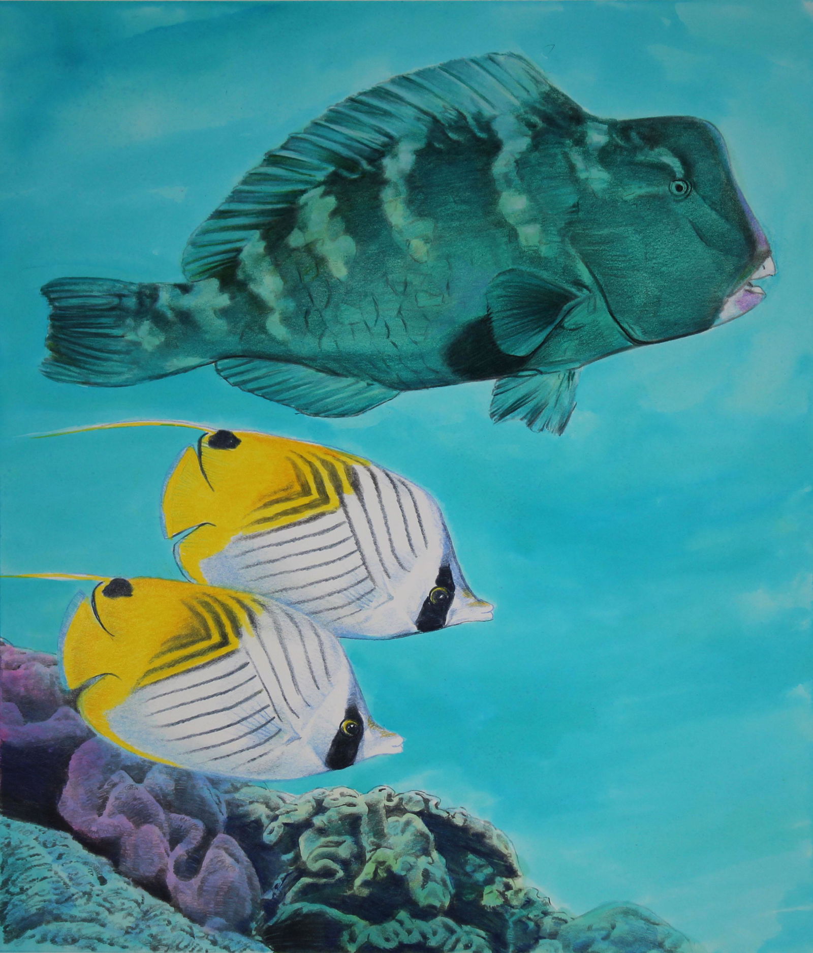 Chris Calle (B. 1961) "Parrotfish" (1 of 3)