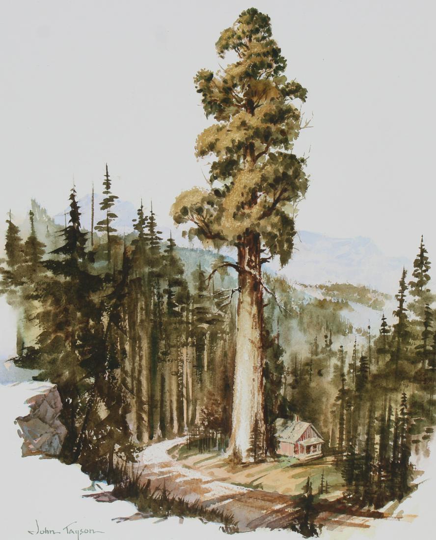 John Tayson (B. 1956) "Giant Sequoia Tree": John Tayson (CO, IL, B. 1956) "Giant Sequoia Tree" Signed lower left. Original Water Color painting on Water Color Paper. Provenance: Collection of James A. Helzer (1946-2008), Founder of Unicover Cor