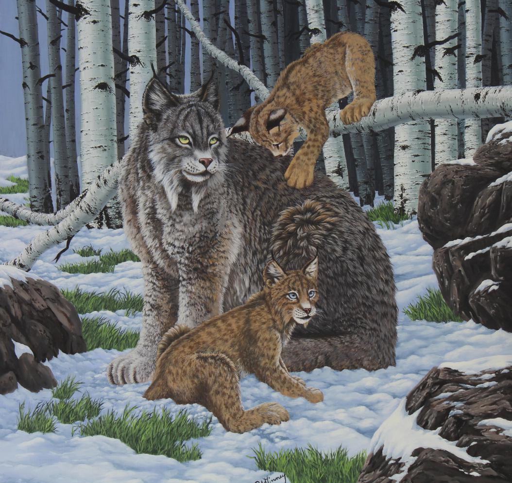 R.G. Finney (B. 1941) "Lynx Mother and Cubs" (1 of 5)