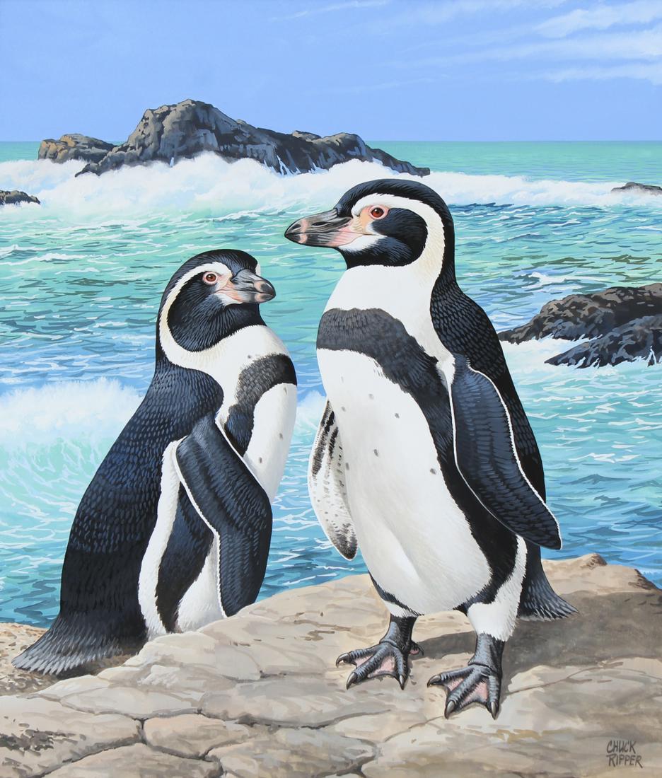 Chuck Ripper (B. 1929) "Humboldt's Penguins" (1 of 4)