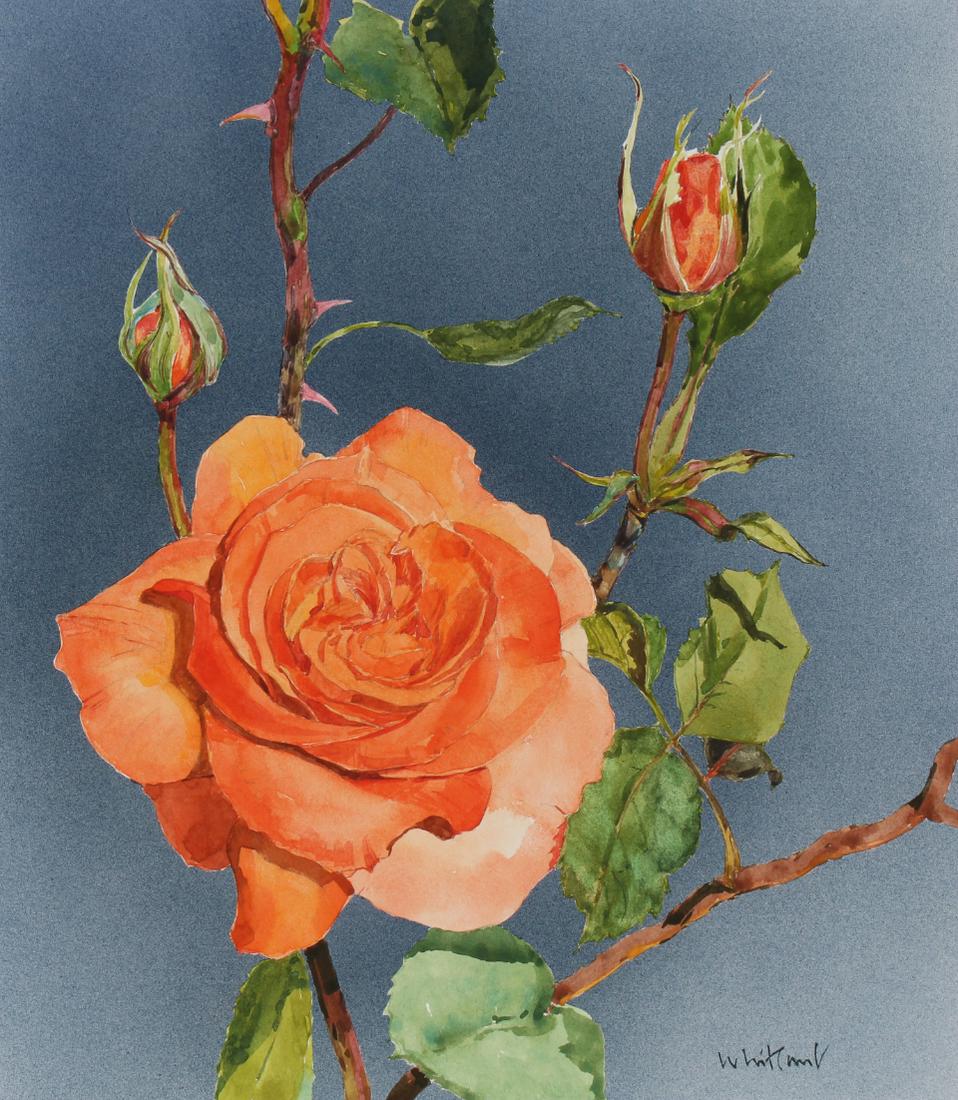 Skip Whitcomb (B. 1946) "Rose" (1 of 4)