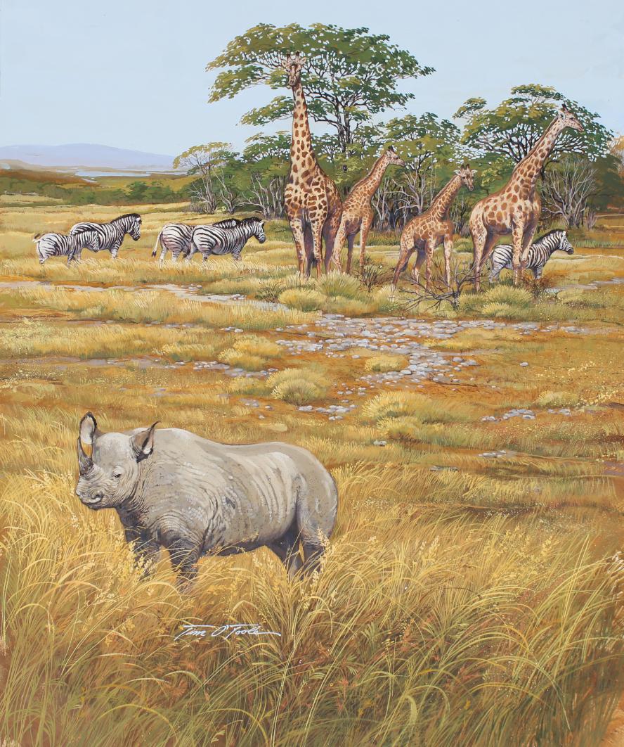 Tim O'Toole (B. 1949) "Tanzania Wildlife" (1 of 5)
