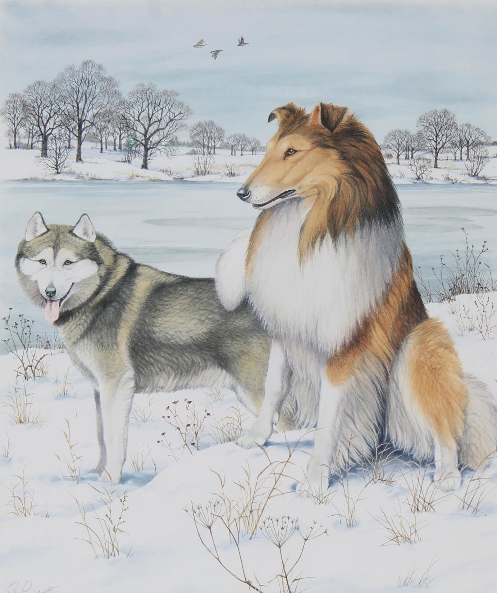 Peter Barrett (B. 1935) Alaskan Malamute & Collie (1 of 5)
