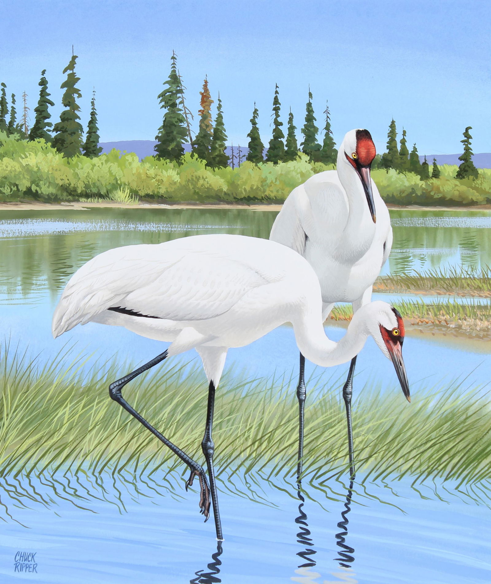 Chuck Ripper (B. 1929) "Whooping Cranes" Original (1 of 5)