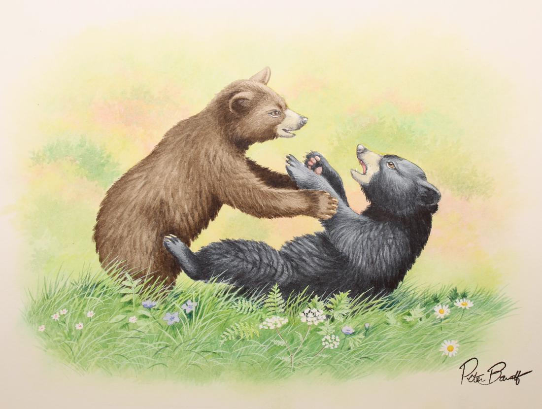 Peter Barrett (British, B. 1935) "Baby Bear": Peter Barrett (British, B. 1935) "Life of a Baby Bear" Signed lower right. Watercolor on Paper. Sheet Size: 8.5 x 11.25 in.