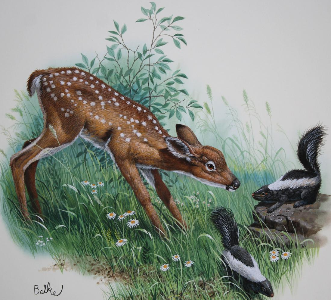 Don Balke (B. 1933) "Fawn" Watercolor: Don Balke (North Carolina, B. 1933) "Fawn" Signed lower left. Original Watercolor painting on Illustration Board. Provenance: Collection of James A. Helzer (1946-2008), Founder of Unicover Corporation