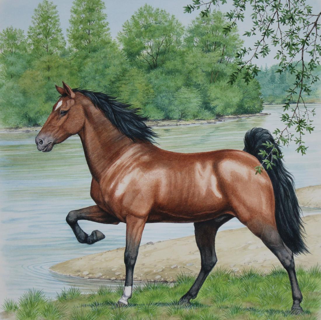 Peter Barrett (B. 1935) Tennessee Walker Horse (1 of 4)
